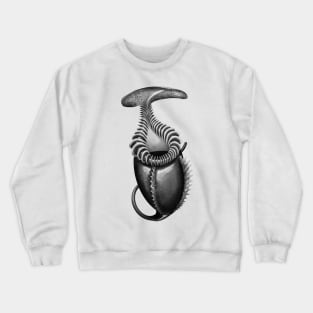 Botanical Carnivorous Plant Drawing Nepenthes Villosa Pitcher Crewneck Sweatshirt